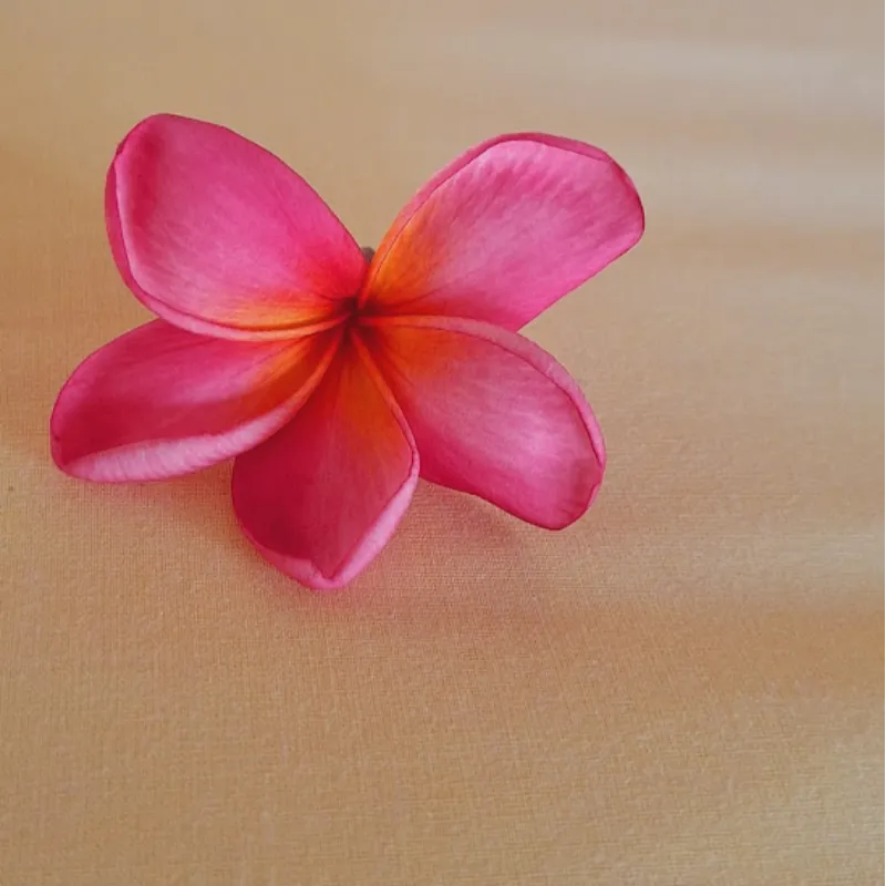 fleur-typique-indonesie-ile-flores